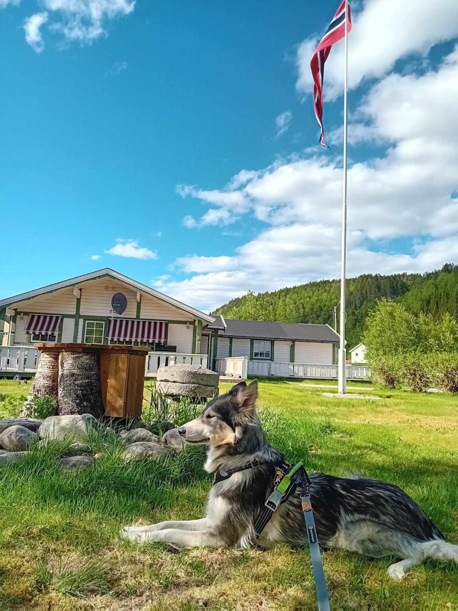 Nordnes Kro Og Camping Rokland Buitenkant foto